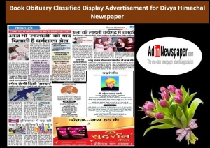 Divya Himachal Obituary Classified Display Advertisement
